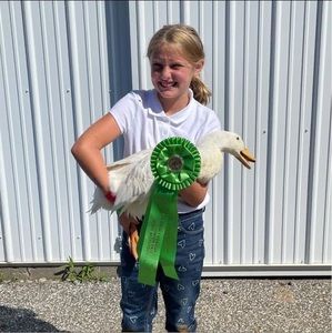 Meet your Posher, Penny